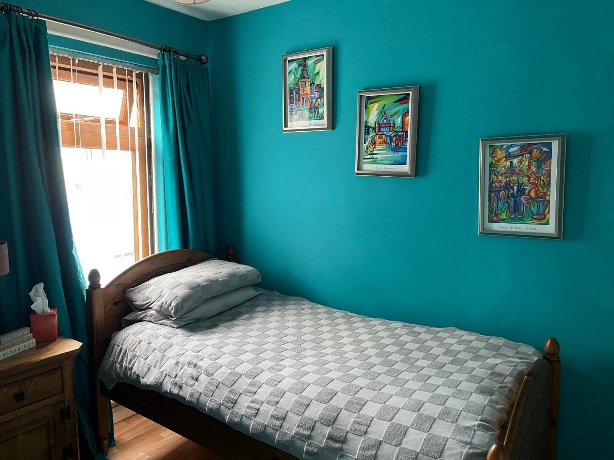 11 Parkmore Street, Ormeau Road, Belfast, Bt7 2Gt, 2 Bedroom House Exteriör bild